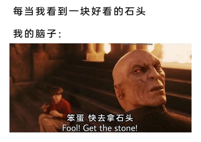这是一张结合影视名场面的搞笑梗图，整体为图文混排形式。上方配有两行简体中文文字：“每当我看到一块好看的石头 我的脑子：”，引出下方的内容。下方是《哈利·波特与魔法石》的影视截图，画面右侧是依附在奇洛教授后脑勺的伏地魔，他面部带有裂痕，表情急切凶狠，头部抬起看向左侧；画面左侧是哈利·波特，他坐在台阶上，身体蜷缩，表情紧张，双手放在身前。截图下方配有中英双语字幕：“笨蛋 快去拿石头 Fool! Get the stone!”。这张梗图用影视经典场景的台词和画面，调侃自己看到好看的普通石头时，脑子里就会像伏地魔催促哈利拿魔法石一样，强烈驱使自己去把石头捡回来，利用名场面的反差感和大众的收集心理制造幽默效果。