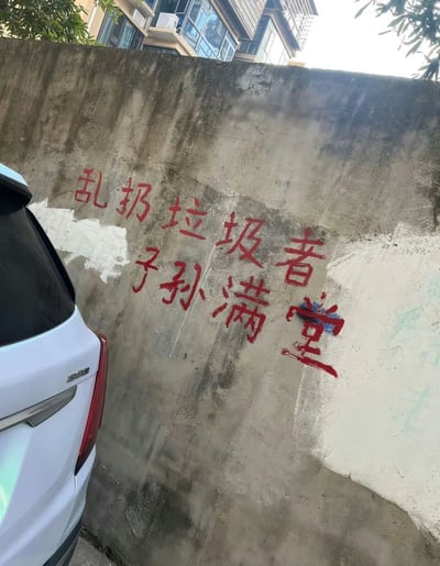 这是一张实拍的户外照片，主体是一面老旧的灰色水泥围墙，墙面上用红色油漆手写了标语内容为“乱扔垃圾者 子孙满堂”，墙面部分区域有白色的涂料涂痕，画面左侧露出了一辆白色私家车的尾部，围墙上方可以看到高层居民楼的窗户和树木枝叶，该标语以十分激烈恶毒的诅咒方式警示他人不要乱扔垃圾，用语颇具争议。