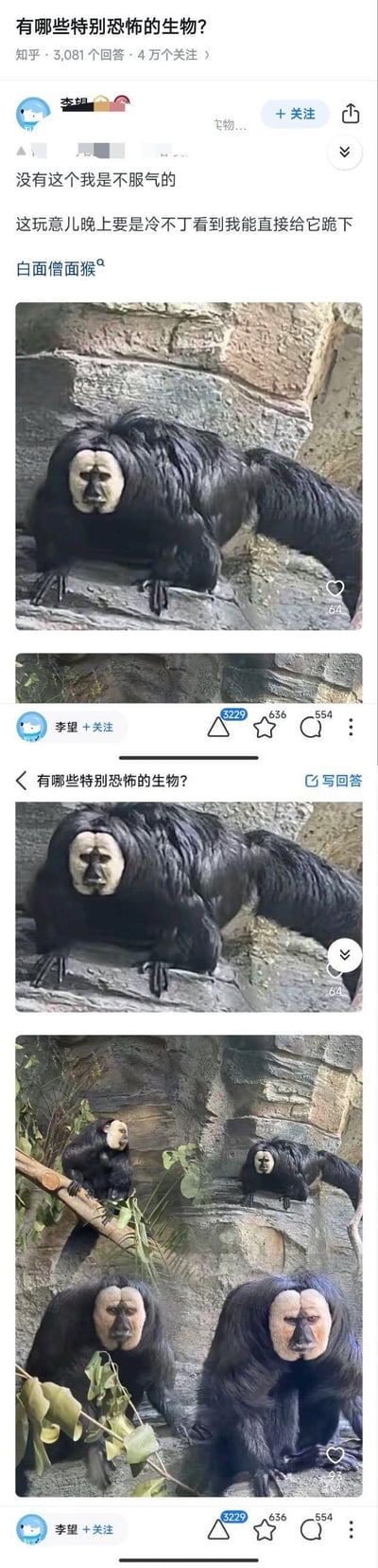 这是知乎问题「有哪些特别恐怖的生物？」下的用户回答内容，答主“李望”分享了白面僧面猴的实拍照片，配文表示这种猴子的长相如果在晚上突然看到，会让人直接下跪。白面僧面猴拥有通体黑色的躯体，面部是白色且酷似人脸的诡异模样，回答中展示了多张该猴子在岩石、树枝上的实拍图，其怪异的外形给人带来强烈的惊悚感，该回答在知乎获得了不少点赞和互动。