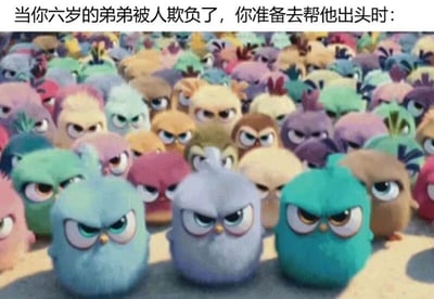 图片上方配有文字“当你六岁的弟弟被人欺负了，你准备去帮他出头时：”，下方是《愤怒的小鸟》电影中的场景，大量色彩各异（蓝、紫、绿、黄、粉等）的小鸟们表情愤怒，眼神犀利地直视前方，密密麻麻聚集在一起，形成强大的“气场”，幽默地表现出准备为弟弟出头时“叫上一群兄弟”的夸张阵仗。