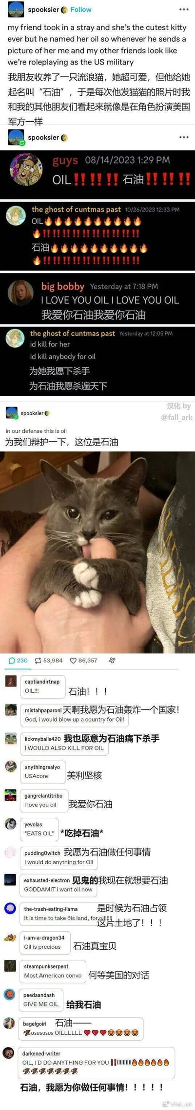 用户spooksier分享了朋友收养的一只流浪猫，这只小猫被起名叫“石油”，每次朋友发这只猫的照片时，群里的朋友们的发言都充满了夸张的喜爱，比如“为石油我愿杀遍天下”“我爱你石油”，这些发言听起来和现实中美国军方为石油表现出的激进态度高度相似，形成了搞笑的反差效果。内容最后附上了这只灰毛白爪、神态软萌的小猫的照片，照片里小猫正抱着人的手指，看起来十分乖巧。评论区的网友也纷纷跟风玩梗，模仿这种夸张的语气表达对小猫的喜爱，整个内容为中英文双语汉化版本，充满了幽默的玩梗氛围。