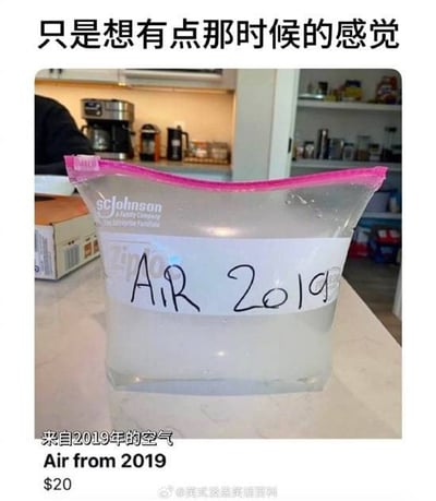 图片展示了一个放在厨房台面上的透明塑料保鲜袋，袋口用粉色封口夹密封，袋子上贴着手写标签“AIR 2019”。图片上方配有文字“只是想有点那时候的感觉”，下方文字为“来自2019年的空气 Air from 2019 $20”。通过将2019年的“空气”装袋售卖的幽默方式，表达了对2019年的怀旧情绪，暗指人们对疫情前时光的怀念。