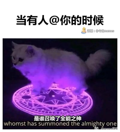 这是一张贴合网络社交日常的搞笑梗图，顶部配有文字“当有人@你的时候”，主体画面是一只白色猫咪站在发光的紫色魔法阵上，周身被紫色雾气般的光芒环绕，仿佛刚被召唤现身；底部配文“是谁召唤了全能之神”，将社交平台中被@的行为夸张地类比为魔法召唤，把猫咪塑造成“全能之神”的形象，用傲娇戏谑的语气表现出被@时那种仿佛被“郑重召唤”的趣味感受，精准戳中网络社交中的日常互动场景，充满幽默感。