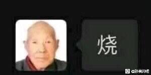 这是一张聊天记录截图，左侧是一位表情平淡严肃的老年男性头像，右侧的对话气泡中只有一个“烧”字。这里运用了谐音梗，“烧”谐音“骚”，用反差感强烈的严肃老人头像搭配带有调侃意味的文字，制造出搞笑的玩梗效果，用来在社交互动中调侃他人或表达戏谑情绪。