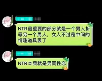 图片显示了一个聊天界面，包含两条关于NTR主题的争议性言论。发言者使用了动漫风格头像，头像为粉色头发的卡通人物。两条消息均使用绿色背景的对话气泡，气泡边缘有蔬菜装饰元素。第一条消息称："NTR最重要的部分就是一个男人折辱另一个男人，女人不过是中间的情趣道具罢了"，第二条消息则断言："NTR本质就是男同性恋"。用户名称部分被模糊处理。