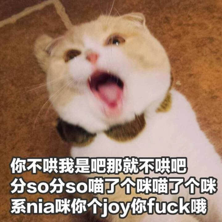 生气的猫咪表情包