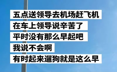 这张梗图用直白的语气展示了一种“职场赶早班飞机”与“私事早起遛狗”之间的生活对比。内容是一名员工凌晨五点送领导去机场，领导关心员工太辛苦了，员工却轻描淡写地说自己有时遛狗会起得更早，表现出对工作和生活平衡的幽默态度，带有些自嘲色彩。整体风格轻松，非常适合广大网友用来吐槽职场、调侃早起生活。没有谐音梗或暗示，但遛狗这个词在网络语境下偶有调侃味道，如本意使用。