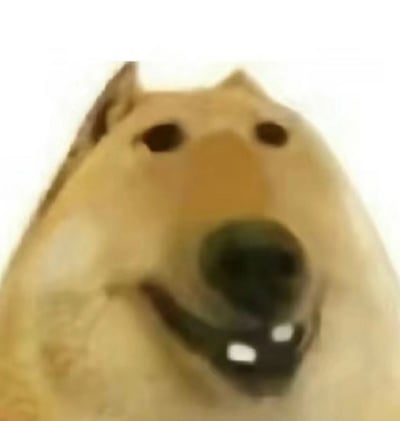 这是一张经过P图改编的抽象风格柴犬表情包，原型是走红网络的Cheems柴犬。图片通过扭曲变形的处理方式，将柴犬的脸部进行夸张改造，呈现出歪嘴、眼睛空洞的怪异滑稽效果，整体画风荒诞搞笑，常被网友在社交平台中用来表达无语、懵圈、搞怪等情绪，作为搞笑互动的表情素材使用。
