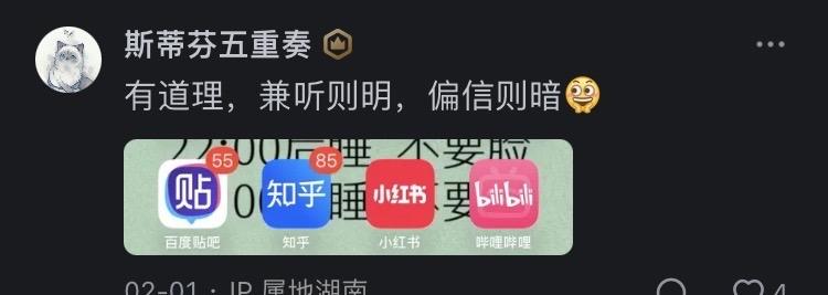 猫咪头像