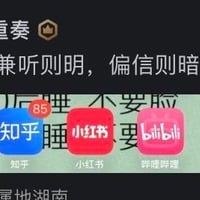 猫咪头像