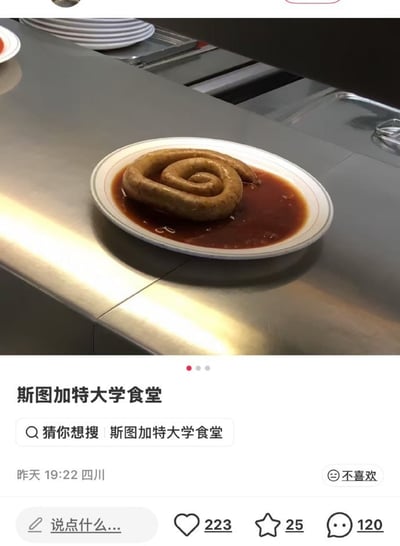 整张图是社交平台的内容截图，上半部分为食堂的金属餐台场景，餐台上放置着一个白色圆盘，盘中盛放着一根盘成类似蚊香的螺旋造型的香肠，香肠浸泡在红棕色的浓稠酱汁中；下半部分是社交平台UI界面，显示内容标题为“斯图加特大学食堂”，下方有“猜你想搜 斯图加特大学食堂”的搜索提示，还标注了发布时间为昨天19:22、发布地点为四川，底部有点赞223、收藏25、评论120的互动数据，以及评论输入框和“不喜欢”按钮。