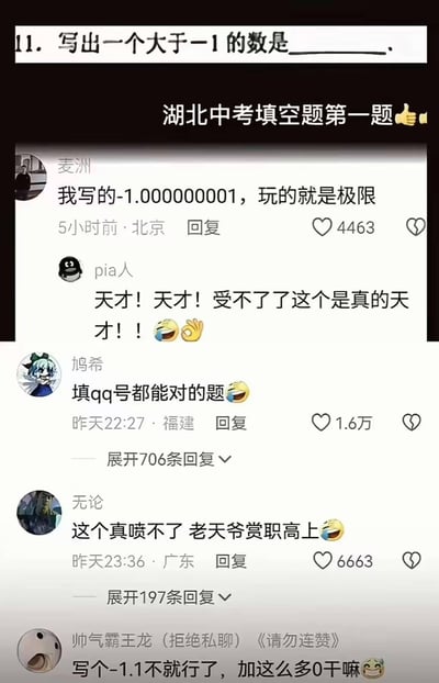 这是一张竖屏的社交媒体评论区截图，核心内容是湖北中考数学填空题第一题“写出一个大于-1的数是______”的趣味作答讨论。网友“麦洲”回复称自己写了-1.000000001，调侃“玩的就是极限”，这条评论获得4463个赞。其他网友纷纷互动：有人夸张地称赞其为“天才”，有人吐槽这题简单到“填QQ号都能对”，还有人调侃这种操作是“老天爷赏职高上”，更有网友疑惑为何不直接写-1.1。整体氛围轻松搞笑，是考生和网友对简单中考题的搞怪式玩梗互动，没有双关或谐音梗。