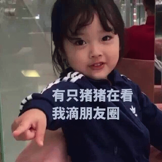权律二表情包：有只猪猪在看我滴朋友圈