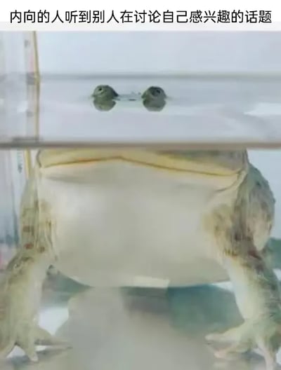 这是一张文字加注的静态图，画面主体是一只青蛙，它的大部分身体都隐藏在水面之下，只有一双眼睛露出水面，看起来正专注地留意着外界。图片上方配有文字“内向的人听到别人在讨论自己感兴趣的话题”，用青蛙的状态精准比喻了内向人群在该场景下的表现：内心对话题充满兴趣与关注，但受限于内向的性格，不会主动参与到讨论中，只会默默关注，形象又贴切地引发了同类人群的共鸣。