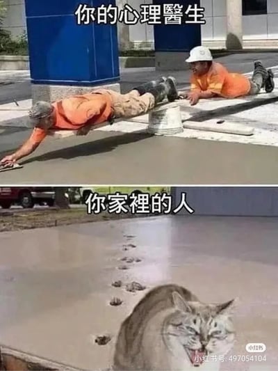 这是一张上下拼接的对比类梗图，上图配文“你的心理医生”，展示两名穿着橙色工作服的水泥工，一名趴在桶上身体悬空，另一名正用工具仔细平整刚铺设的水泥，画面传递出一种努力“拯救”、认真补救的姿态，象征心理医生在你陷入情绪困境时会尽力帮助你走出低谷；下图配文“你家裡的人”，呈现一只猫咪从刚铺好的水泥地中跑出来，身后留下一串清晰的脚印，破坏了原本平整的水泥面，象征当你试图调整状态变好时，家人却可能不经意间添乱，制造出无奈又搞笑的反差效果，以此吐槽家庭相处中的这类无奈瞬间，引发网友共鸣。