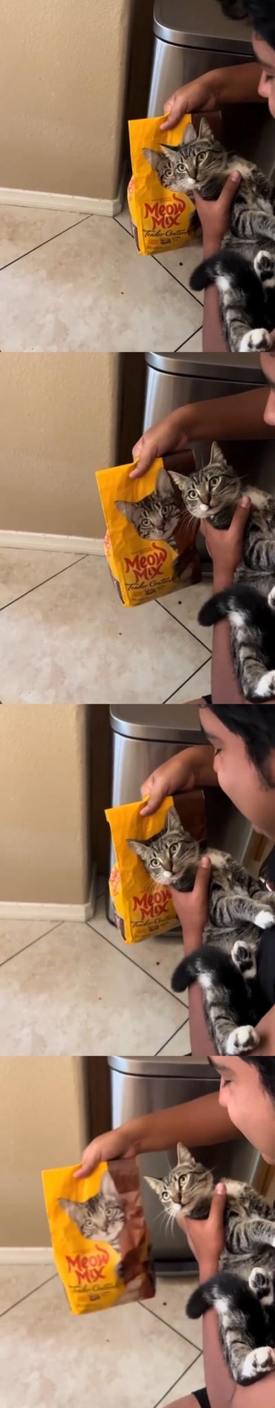 这是一组四格连环实拍图，画面中的人抱着一只虎斑猫，身旁是MeowMix品牌的黄色猫粮袋，袋子上印的虎斑猫与怀里的猫咪长相高度相似。通过移动猫粮袋的位置，制造出怀里的猫和包装袋上的猫「无缝切换」的视觉错位效果，看起来像是猫咪突然「变到」袋子上，又「变回来」，充满巧合带来的搞笑趣味感。