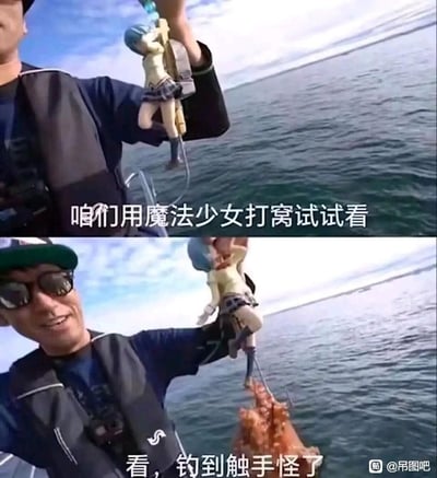 这是一张爆笑的二次元钓鱼表情包图片。上半部分画面显示有人用魔法少女模型作为鱼饵，配文“咱们用魔法少女打窝试试看”。下半部分展示模型钓起了一条带触手的生物（疑似章鱼），配文“看，钓到触手怪了”。画面通过“魔法少女”和“触手怪”两个动漫梗巧妙结合，玩出了二次元圈常见的暗示和恶搞，创造出出人意料的幽默效果。