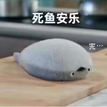 暂无描述