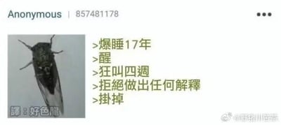 这是一张图文混排的趣味梗图，左侧是一只17年蝉的真实照片，右侧用拟人化的文字调侃它的一生：在地下蛰伏17年（爆睡17年），成虫后醒来，狂叫四周，随后就死去（掛掉），还加上了“拒絕做出任何解釋”的搞笑表述。图中的翻译“好色龍”是谐音梗，取“蟬”的谐音进行调侃，让整个内容充满荒诞搞笑的氛围，用夸张的拟人化方式吐槽17年蝉短暂的成虫期。