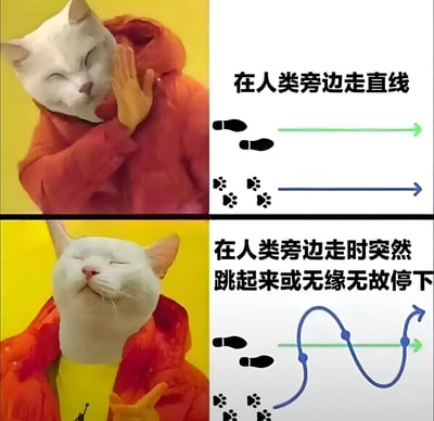 这是一张四格对比梗图，通过拟人化猫咪形象幽默展示猫咪在人类旁边行走时的两种行为模式。上半部分：猫咪穿着红色连帽衫，一只手摸着脸颊，表情满足，右侧配文'在人类旁边走直线'，并展示人类（黑色脚印）和猫咪（爪印）的直线行走轨迹。下半部分：猫咪仰头闭眼，表情得意，右手做出手势，右侧配文'在人类旁边走时突然跳起来或无缘无故停下'，展示人类直线轨迹与猫咪曲折跳跃的轨迹形成鲜明对比，夸张表现猫咪行为的不可预测性。