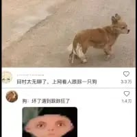 P图改编