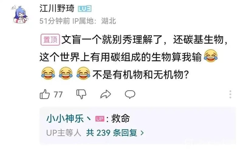 B站普通用户