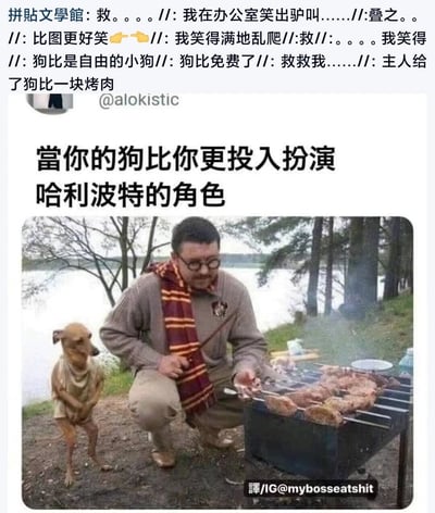 这是一张经过P图改编的搞笑梗图，核心内容是户外烧烤的场景被赋予了哈利波特角色扮演的元素：图中的人穿着带有格兰芬多学院徽章的毛衣，戴着学院风格围巾，手持烤串签子模仿魔杖，正在烧烤；旁边的小狗被P上了拟人化的衣服，站姿直立，看起来比主人更投入“哈利波特角色”的扮演。图的上方是中文社交平台账号“拼貼文學館”发布的网友爆笑评论，比如“在办公室笑出驴叫”“狗比是自由的小狗”等，传递出网友对这个梗图笑点的认可，整体通过宠物拟人化和经典IP的反差结合，制造出荒诞搞笑的效果。