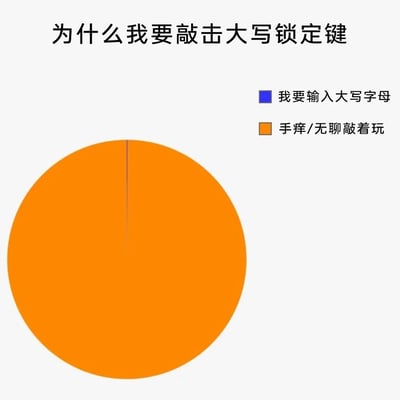 这是一张趣味向的饼图统计图片，标题为“为什么我要敲击大写锁定键”。饼图将敲击大写锁定键的原因分为两类：“我要输入大写字母”和“手痒/无聊敲着玩”。其中代表“手痒/无聊敲着玩”的橙色区块占据了饼图的几乎全部面积，而代表“我要输入大写字母”的蓝色区块仅占一条细缝的极小比例，用极度夸张的比例反差，调侃了人们日常使用键盘时，经常误触或无意义敲击大写锁定键的真实小习惯，内容贴近生活，充满趣味性和共鸣感。