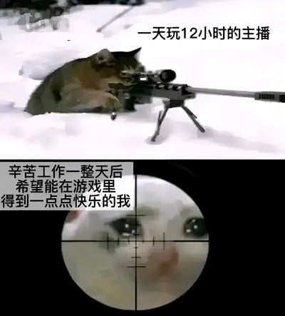 图片分为上下两部分。上半部分显示一只猫在雪地中使用狙击枪瞄准，配文'一天玩12小时的主播'；下半部分是通过狙击镜看到的另一只猫的脸，配文'辛苦工作一整天后希望能在游戏里得到一点点快乐的我'。图片通过幽默的方式对比了长时间游戏的主播和下班后只想放松娱乐的普通玩家之间的差距。