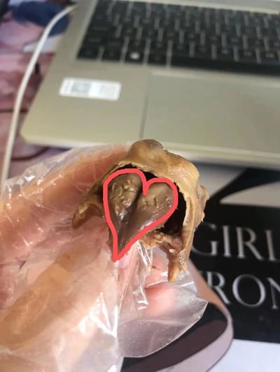 一只手戴着塑料袋拿着一块食物，食物内部呈现出清晰的爱心形状，并用红色线条标记出来。背景中可以看到一台打开的笔记本电脑。这张图片展示了在日常食物中偶然发现的有趣形状。