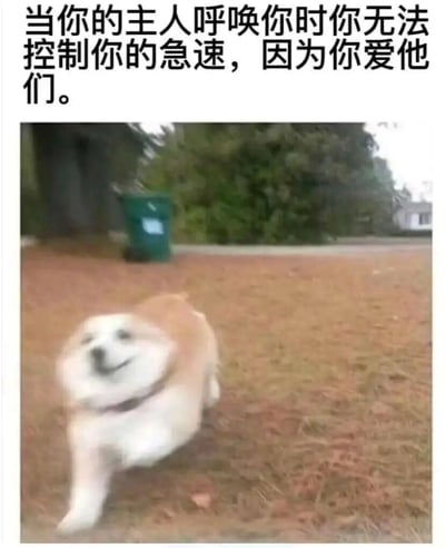图片上方配有文字'当你的主人呼唤你时你无法控制你的急速，因为你爱他们。'，下方是一只毛色为米白色的小狗正快速奔跑的模糊照片，小狗面带开心的表情，眼睛微眯，嘴巴张开似在微笑。背景是户外场景，可见绿色垃圾桶、茂密的树木和棕黄色的草地，整体氛围温馨可爱，展现了宠物对主人的深厚情感。