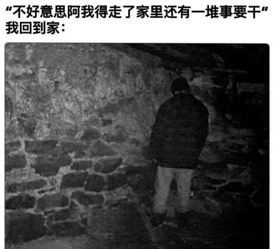 这张梗图通过文字与图片的结合，幽默地展现了人们常有的一种生活现象：以"家里有事"为借口提前离开某个场合，回到家后却并没有真的去处理所谓的"一堆事"。图片上方文字写着"不好意思阿我得走了家里还有一堆事要干"，下方文字"我回到家："引出一张黑白照片，照片中一个人穿着深色外套和浅色裤子，背对着镜头站在石墙前，显得无所事事，完美呼应了前面借口与现实的反差。