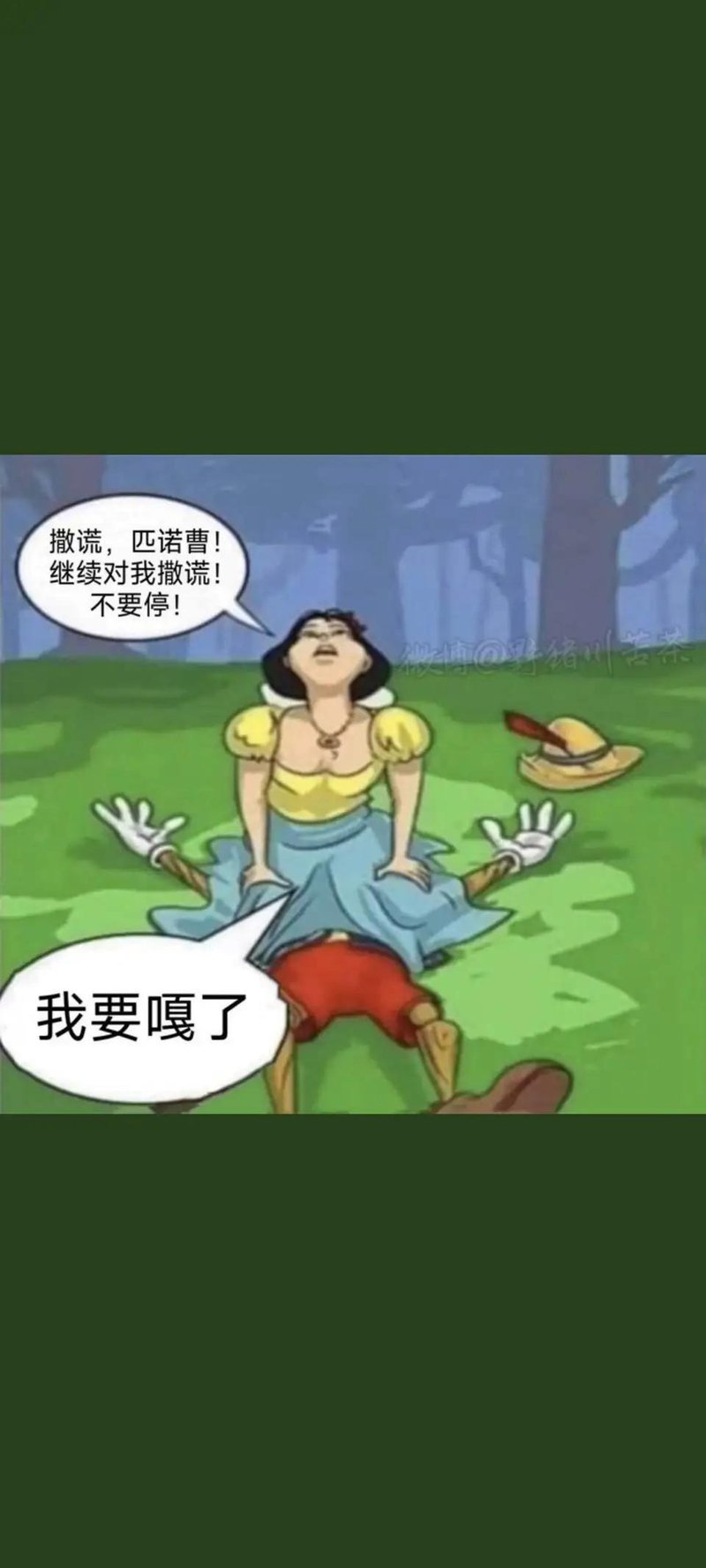 匹诺曹