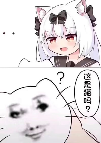 这是一张上下拼接的搞笑梗图：
上半部分是一位白发猫耳二次元少女，露出开心的表情，旁边配有省略号，呈现出一种期待的氛围；
下半部分是网络知名的“Mur猫”表情包，猫咪脸上带着疑惑的问号，配文“这是猫吗？”，对上方的猫娘身份发出灵魂质疑，通过二次元猫娘和现实搞笑猫表情包的反差，制造出荒诞又搞笑的效果，形成“猫娘的猫身份被质疑”的幽默反差。