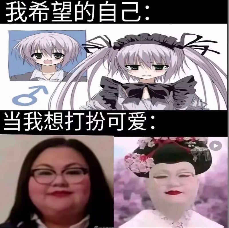 《蔷薇少女》
