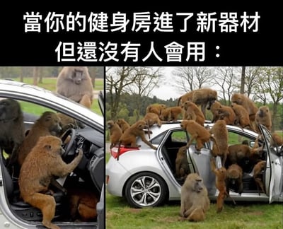 这张梗图采用了幽默的类比，将一群猴子围着并爬满汽车，做出各种摸索却不懂如何操作的样子，配以繁体中文“當你的健身房進了新器材 但還沒有人會用：”，形象表达了健身房引入新设备后，大家不知所措的搞笑场景。猴子象征着面对新事物时的无助和迷茫，非常贴合现实感受。动物模仿人类行为，增加了幽默和反差效果。