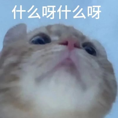 一张近距离拍摄的橘猫特写照片，猫咪仰头注视镜头，眼神中带着明显的疑惑和好奇。图片上方添加了白色文字'什么呀什么呀'，强化了猫咪的懵懂感。整体画面简洁，以猫咪面部为主体，背景为浅蓝色，营造出可爱又困惑的氛围，常用于网络聊天中表达对某事的不解或好奇情绪。