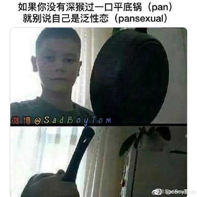 这是一张上下分栏的对比搞笑梗图，上方画面中一位寸头男生举着一口黑色平底锅，配文利用英文单词“pan”的双关含义——既指平底锅（pan），又对应泛性恋（pansexual）的前缀，玩出“没亲过平底锅就不算泛性恋”的荒诞梗；下方画面展示男生的手握住平底锅把手，视觉上像是在“亲吻”平底锅，呼应上方的玩梗文字，制造出滑稽、无厘头的搞笑效果。