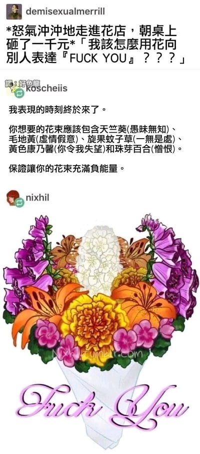 这是一组源自国外社交平台的趣味互动内容，被翻译成中文后传播。首先用户demisexualmerrill模拟怒气冲冲走进花店砸钱的场景，提出特殊需求：想用花来表达“FUCK YOU”的愤怒情绪；接着用户koscheiis抓住这个“表现时刻”，给出了对应的负面花语花材方案，每种花都对应着极具负面情绪的花语：天竺葵代表愚昧无知、毛地黄代表虚情假意、旋果蚊子草代表一无是处、黄色康乃馨代表你令我失望、珠芽百合代表憎恨，称这个花束会充满负能量；最后用户nixhil将这个方案视觉化，绘制了包含这些花材的花束插画，花束下方还用粉色花体字写着“Fuck You”，精准呼应了最初的需求，用花语这种委婉的形式，精准又有创意地传递了愤怒、不满的怼人情绪，是一种很有巧思的情绪表达形式。