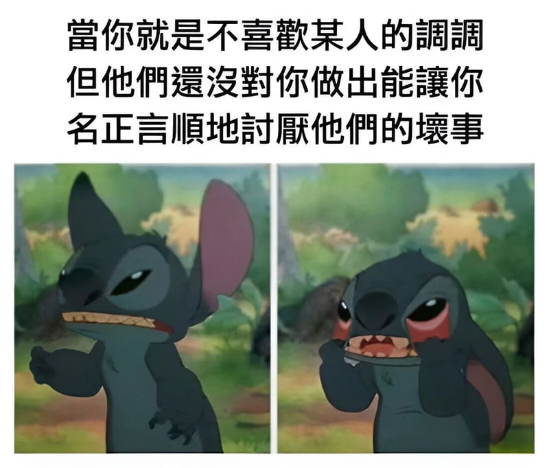 史迪奇