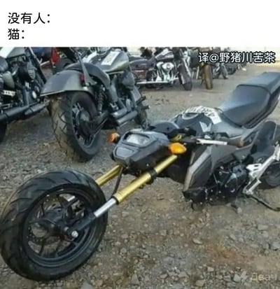这张梗图上方有两行文字：'没有人：' 和 '猫：'，下方是一辆倒在地上、前轮大幅转弯的摩托车，看起来极不自然且姿态滑稽。整图通过对比常规场景与猫咪奇葩行为，调侃猫咪经常做出奇怪且不可理解的扭曲动作。典型的'没有人：xxx:'格式梗，强调猫咪总能自发制造出让人匪夷所思的混乱姿势。

有趣之处在于摩托车扭曲的状态和猫咪经常表现出的柔韧、搞怪动作实现了类比，具有很强的幽默和意象联想。

本图采用了谐音/双关梗：摩托车姿势像极了猫的动感造型。