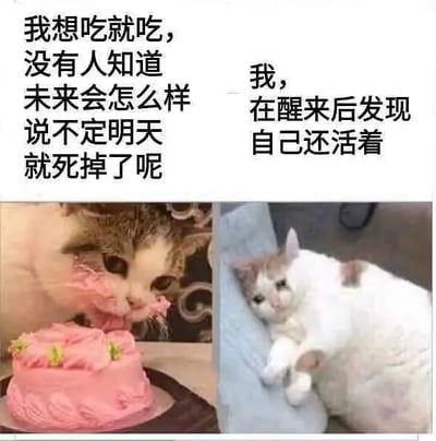 这张梗图由两张猫的照片拼贴组成，左边是一只猫大口吃着粉色蛋糕，右边是一只慵懒地卧躺的胖猫。配字分成两部分，左侧表达了“及时行乐，谁知道明天会不会还活着，先吃再说”的洒脱和自嘲，右侧则表达了“醒来发现自己居然还活着”的消极惊讶和对生活的无力感。整体风格带有现代年轻人常见的丧文化幽默感，没有明显谐音梗或双关，但暗含对生活荒诞无常的无奈和戏谑。