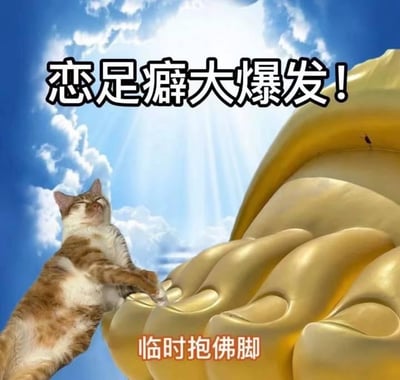 一张搞笑梗图，画面中有一只橘白相间的猫正伸展身体，用前爪触碰一个巨大的金色佛脚雕像。背景是蓝天白云，阳光从云层中射出形成光束效果。图片上方有大字标题“恋足癖大爆发！”，底部有小字“临时抱佛脚”。这张图利用了成语“临时抱佛脚”的字面意思进行幽默创作，通过猫触碰佛脚的画面与文字结合，形成趣味效果。