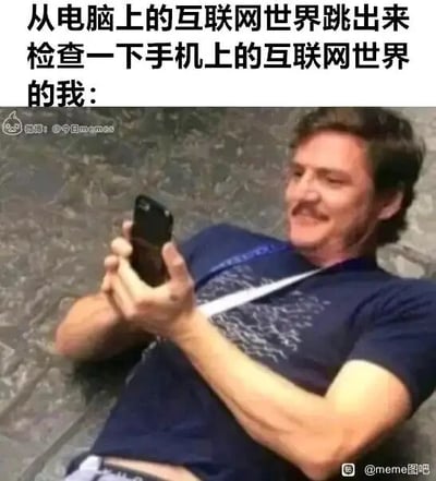 这是一张文字加注的静态梗图，图中人物是演员佩德罗·帕斯卡，他躺在地面上，双手举着手机，脸上露出纠结又带着急切专注的表情。图片上方配有文字“从电脑上的互联网世界跳出来检查一下手机上的互联网世界的我：”，用夸张的画面和文字，精准描绘出当代网民的一种日常状态——在使用电脑浏览互联网后，忍不住切换到手机去查看另一个互联网生态里的内容，这种跨设备的互联网浏览切换行为，是很多网民的真实写照，图中人物的表情将这种带着点急切、又有点滑稽的心态生动地展现了出来，引发网民的共鸣。