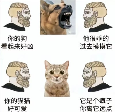 这是一张对比狗狗和猫猫外表与真实性格反差的搞笑梗图。图片采用2x3的网格布局，上排展示狗狗：左侧卡通胡子男人配文'你的狗看起来好凶'，中间是一只张着大嘴露出尖牙的德国牧羊犬，右侧同样的卡通男人配文'他很乖的过去摸摸它'。下排展示猫猫：左侧卡通胡子男人配文'你的猫猫好可爱'，中间是一只瞪着大眼睛的虎斑猫，右侧同样的卡通男人配文'它是个疯子你离它远点'。通过这种对比幽默地表现了人们对宠物的刻板印象与实际情况的反差。
