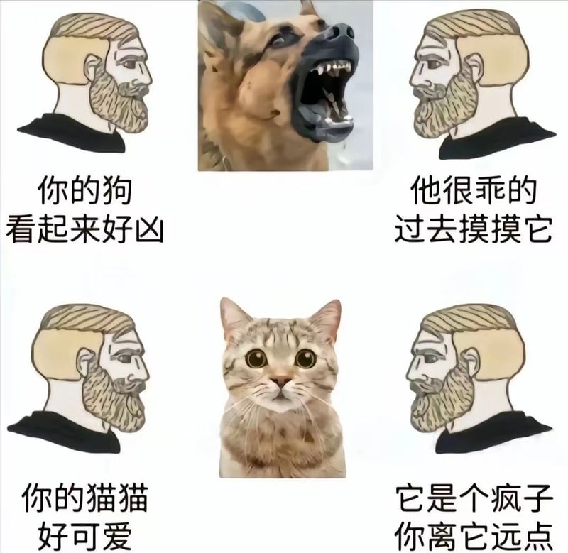 德国牧羊犬