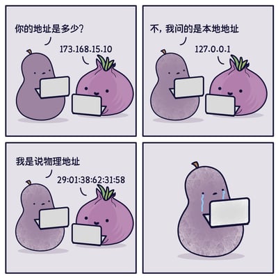 这是一幅四格卡通梗图，以拟人化的梨和洋葱展开对话：
1. 梨询问洋葱“你的地址是多少？”，洋葱回答局域网IP地址“173.168.15.10”；
2. 梨补充“不，我问的是本地地址”，洋葱回应本地回环地址“127.0.0.1”；
3. 梨再次强调“我是说物理地址”，洋葱给出网卡MAC地址“29:01:38:62:31:58”；
4. 梨最终崩溃流泪。

梗图利用“地址”一词在日常用语和IT网络术语中的歧义制造笑点，日常的“地址”指现实居住地点，而IT语境中“地址”可指IP地址、本地回环地址、MAC物理地址，戳中IT从业者的职业共鸣，趣味十足。