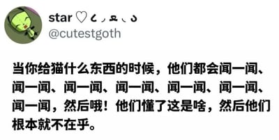 这是一张社交媒体截图，包含一个绿色卡通头像，用户名为“star ♡ しゅぃ”（@cutestgoth），主要文字内容描述了猫咪的典型行为：当你给猫东西时，它们会反复闻多次，看似明白了是什么，但最终却毫不在意。内容幽默地展现了猫咪高冷又可爱的特性。