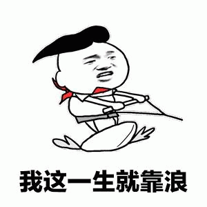 我这一生就靠浪 卡通表情包