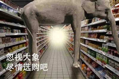 这是一张经过P图改编的静态单图，画面主体是超市的货架通道，两侧货架上摆满了各类商品，一头体型庞大的大象被合成在通道的中间位置，几乎占据了整个通道的宽度，通道的尽头透出明亮的光线。图片左下角配有白色文字“忽视大象 尽情选购吧”。这张图是对“房间里的大象”这一经典社会学隐喻的具象化演绎，“房间里的大象”指的是那些明明存在却被所有人刻意忽视、不愿提及的问题，这张图用超市里的大象来类比这类被刻意忽略的显眼问题，以幽默荒诞的视觉效果，调侃了生活中人们对明显问题选择回避、视而不见的现象。